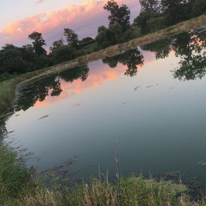 Meet your Posher, Cameron